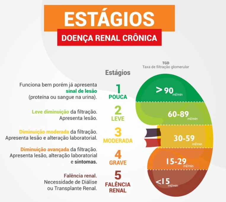 Doença Renal Crônica Dra Bianca Bastos